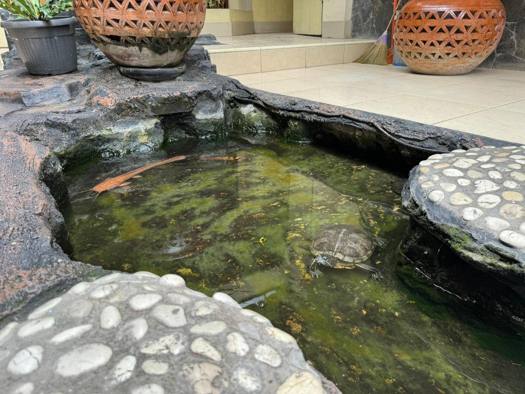Hotel Priangan Cirebon Eksteriør bilde