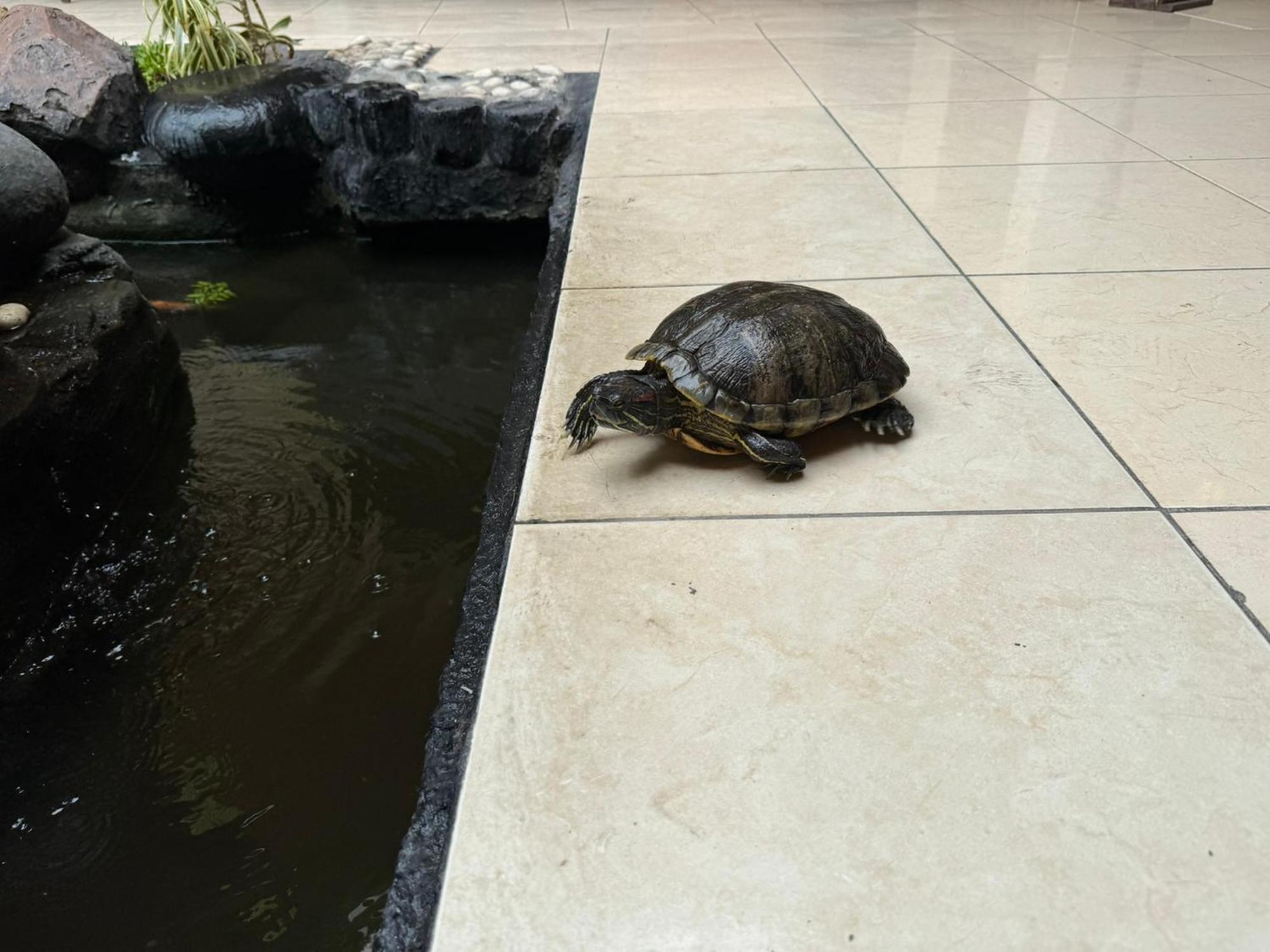 Hotel Priangan Cirebon Eksteriør bilde